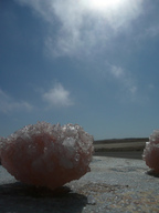 Pink Himalayan Salt benefits